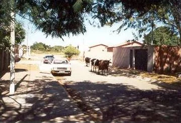 Archive street scene in Formosa, Goiás, Brazil, uploaded in 2005