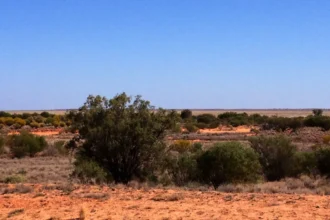 Archive red-sand and scrub landscape in the Wanaaring area, photographed in September 2012.