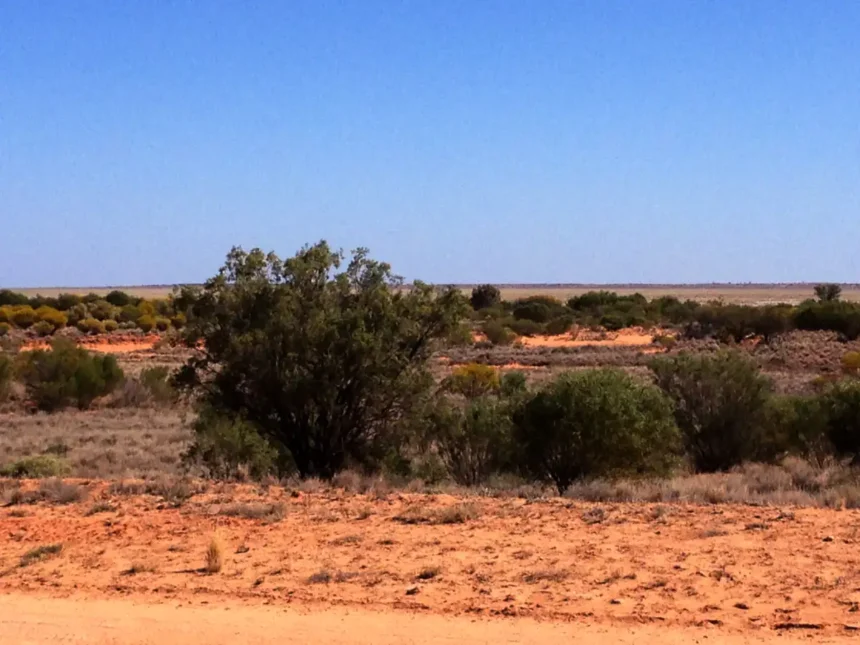 Archive red-sand and scrub landscape in the Wanaaring area, photographed in September 2012.